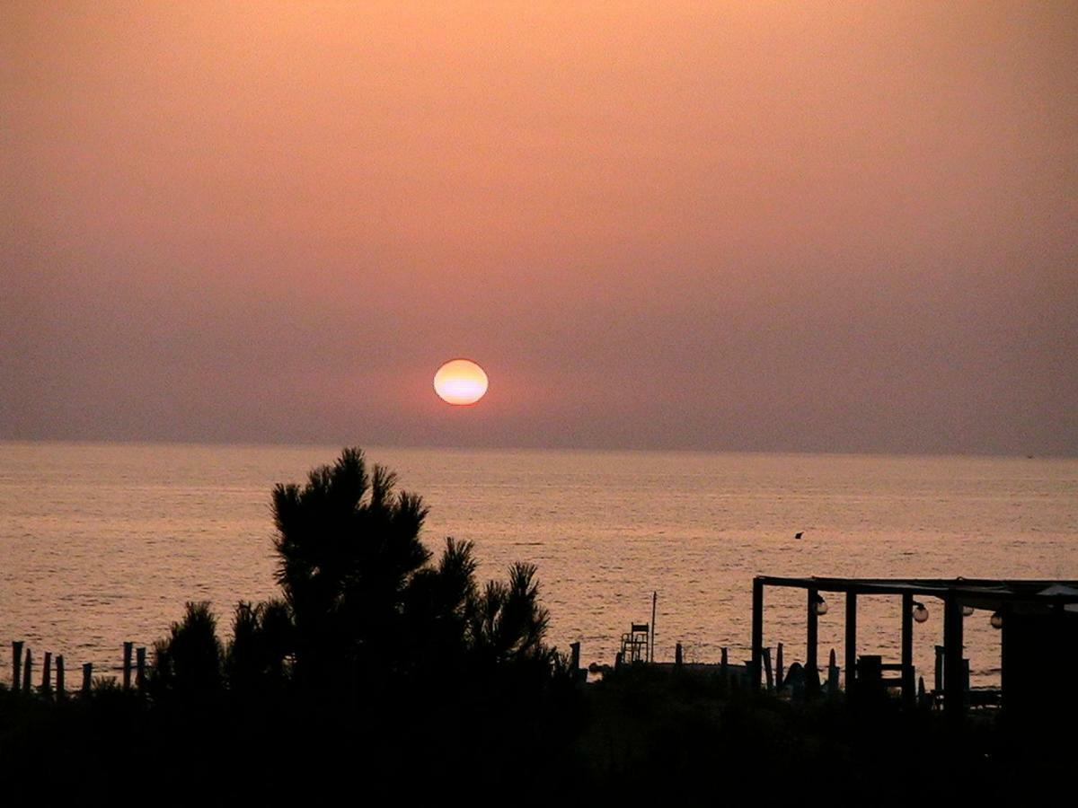 Amazing Sea View Flat Villa Tirrenia Ngoại thất bức ảnh